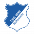 Das Logo der TSG Hoffenheim